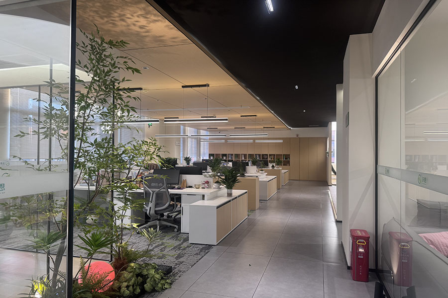 办公室office (6)