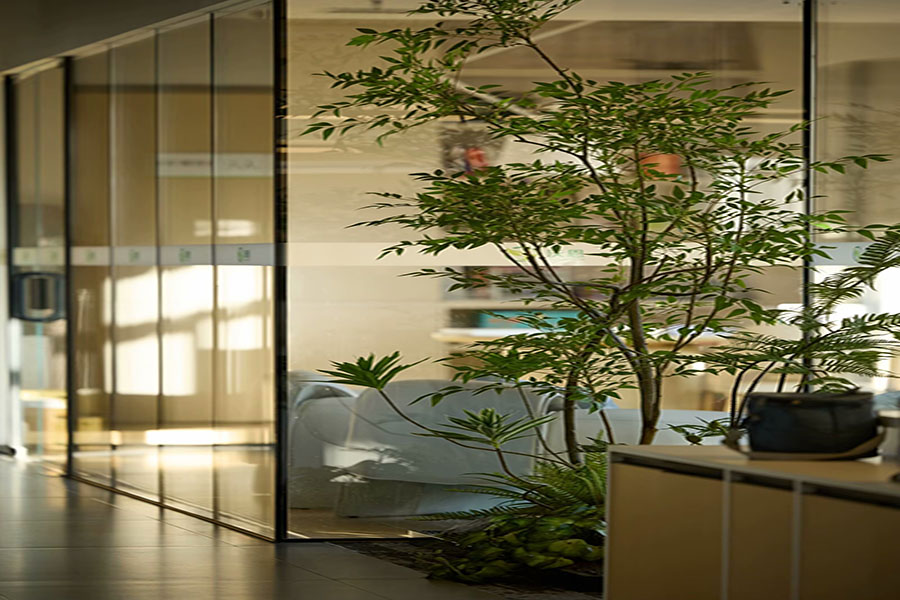 办公室office (2)