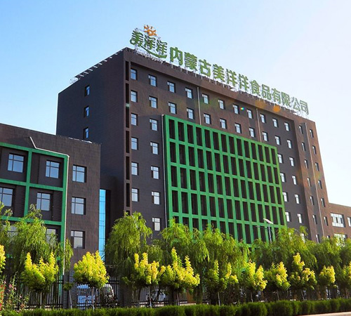 Inner Mongolia Meiyangyang Food Co., Ltd
